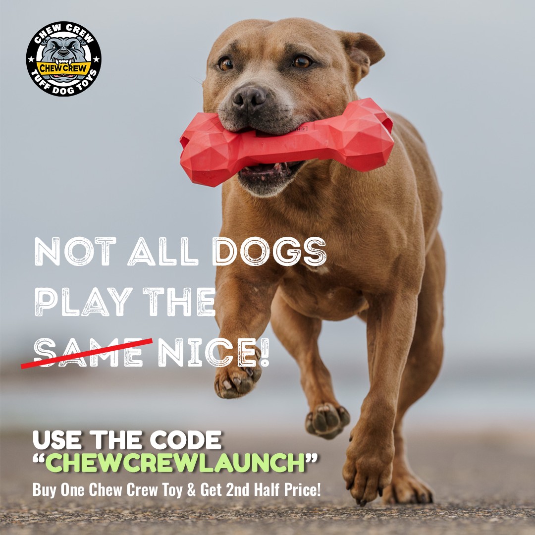 Not all dogs play the same.
Some chase and chew.
Some chew and chew.
Some destroy for sport.
Some look you dead in the eye while doing it.
Enter Chew Crew toys-- made for dogs who don’t understand the word “fragile”.
Use code "ChewCrewLaunch"
Buy 1 Chew Crew Toy & get the 2nd half price.
Because when your dog has more than one play style,
one toy just isn’t going to cut it.