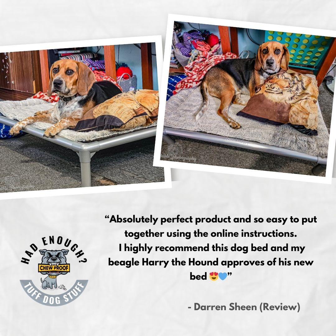If your dog treats beds like a chew toy… you’re not alone.
Harry the Hound used to destroy his beds—until this one.
Now?
He’s stretched out, settled in, and finally has a bed that lasts.
“Absolutely perfect… easy to put together… highly recommend.”
— Harry’s human (and Harry definitely agrees)
Built tough for dogs who don’t do “gentle.”
Made comfy enough that they actually want to stay on it.
Because replacing beds every few weeks isn’t normal… it’s just what happens when you haven’t found the right one yet.
Ready for a bed your dog can’t destroy?