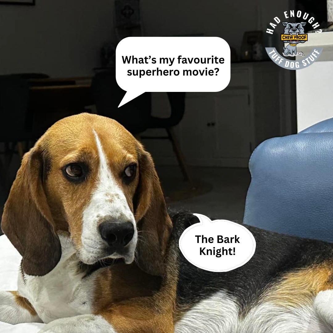 Do you have any other superhero movie suggestions for Reo?