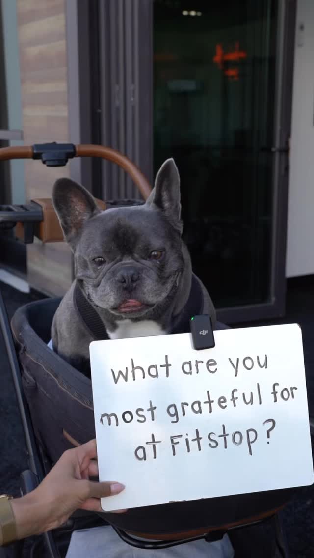 Hope Island 6 When you ask what our members are thankful for, the answer’s always the same: the people beside them.
Community. Consistency. Connection.
And the results don’t hurt.
Train the rest of 2025 for $99.
Link in bio to join the Fitstop Fam.