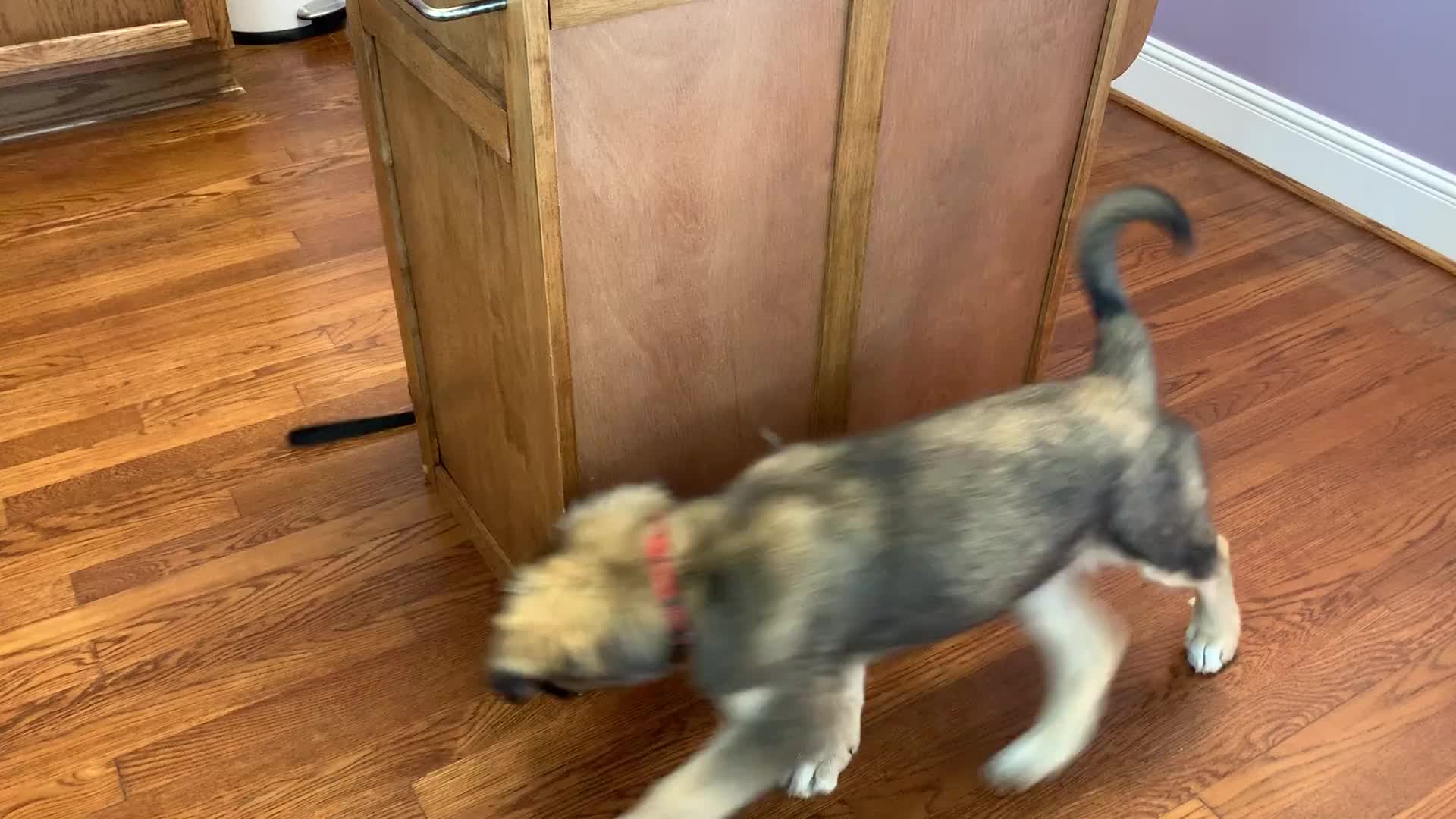 Maggie knows how to entertain herself.