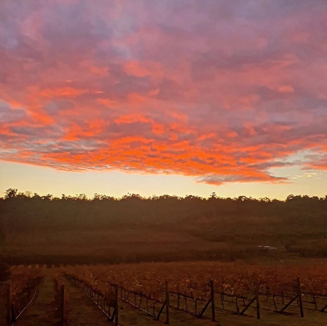 Beautiful views at La Fattoria this morning 😍🌄--☆---repost---☆☆---Did you have a red sky this morning?Winter has definitely arrived, and we are being treated to a good dousing of "sky wine" tonight!!Head up the hill for these fabulous Perth Hills venues offering their warm hospitality this winter while watching the rain fall over the valleys, enjoying all our unique food and wine experiences.@packingshed_lawnbrook
@plumeestate
@coreciderhouseTo book your winter, Nonna's Family Table here at La Fattoria Perth Hills visits our website to check out how we roll.Look forward to your call on 9293 7888.Cheers, Eric and Lucy
www.lafattoria.com.au
