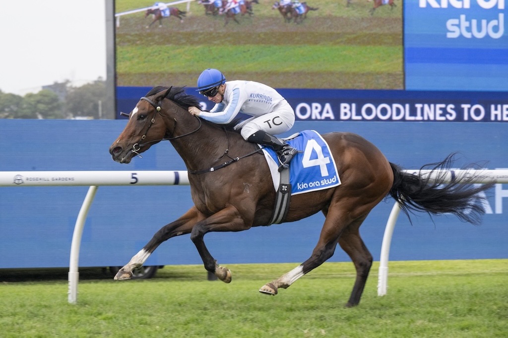 Funshow went three straight today with a brilliant ride by @timclark1986 and trained to the minute as always by @doyleracing #racehorseownership @australianturfclub #racehorse #following #rosehillgardens #photo