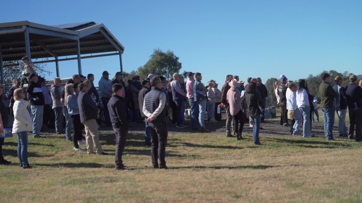 Brent and Zeb - owner testimonial from our 2026 Open Day #ownership #racehorseownership #racehorses #followers #farm