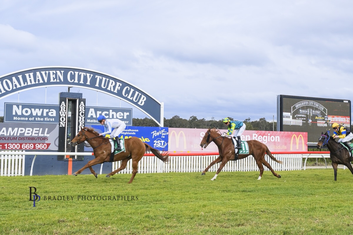 Zou Force winning first up @shoalhaventurfclub trained by @mjdaleracing and ridden by @brodie_loy #racehorses #racehorseownership #athlete #following #follows