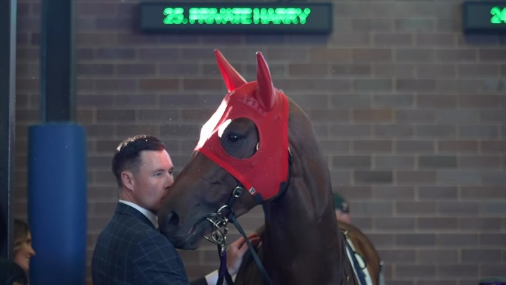 Purchasing a share with Kurrinda Bloodstock is more than just purchasing a share in a racehorse it’s a journey from start to finish - horse first mentality @rorison_management @stridyl_ #racehorse #racehorseownership #racehorsesyndicate #reel #followers @dr_caroline_foote @kensingtonproduce