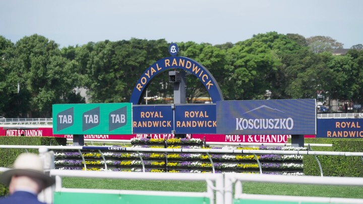 So You Pence should be your pick for the 2026 Kosciuszko @australianturfclub @mjdaleracing
- Current Favourite
- A Five time winner
- 2 time city winner (Randwick)
- Barn Dance winner
- 5th in last years edition (wide the entire)