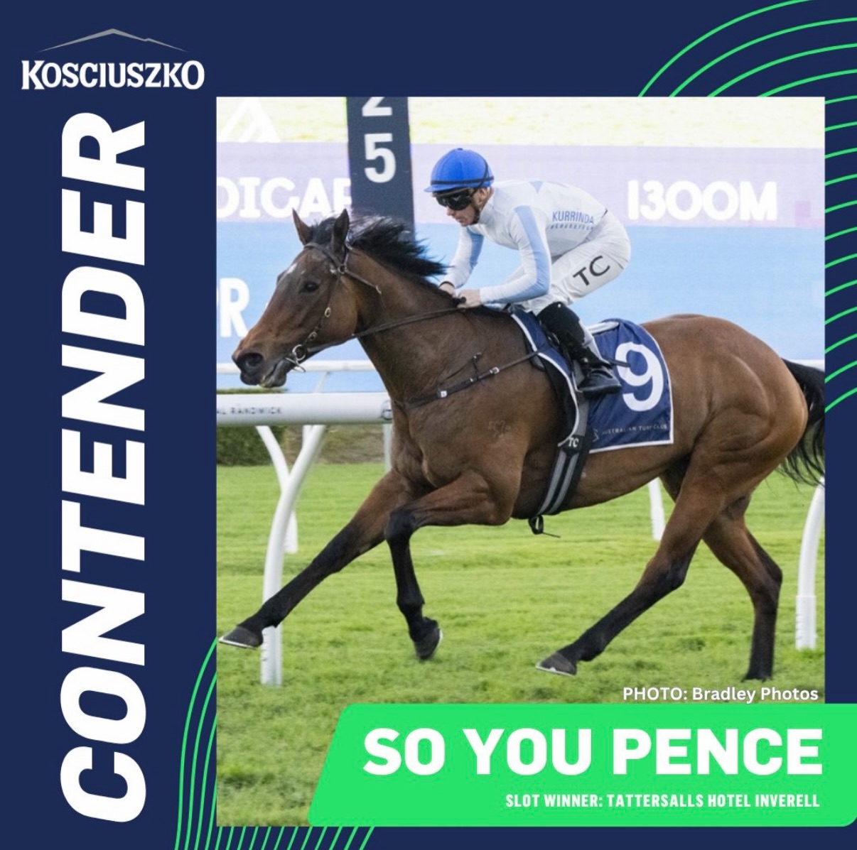 So You Pence gets her well deserved slot in this years Kosciuszko well deserved to the mare and everyone involved @mjdaleracing