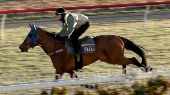 So You Pence this morning in what was a beautiful morning @goulburnraces @mjdaleracing @hannahgracewilliams98